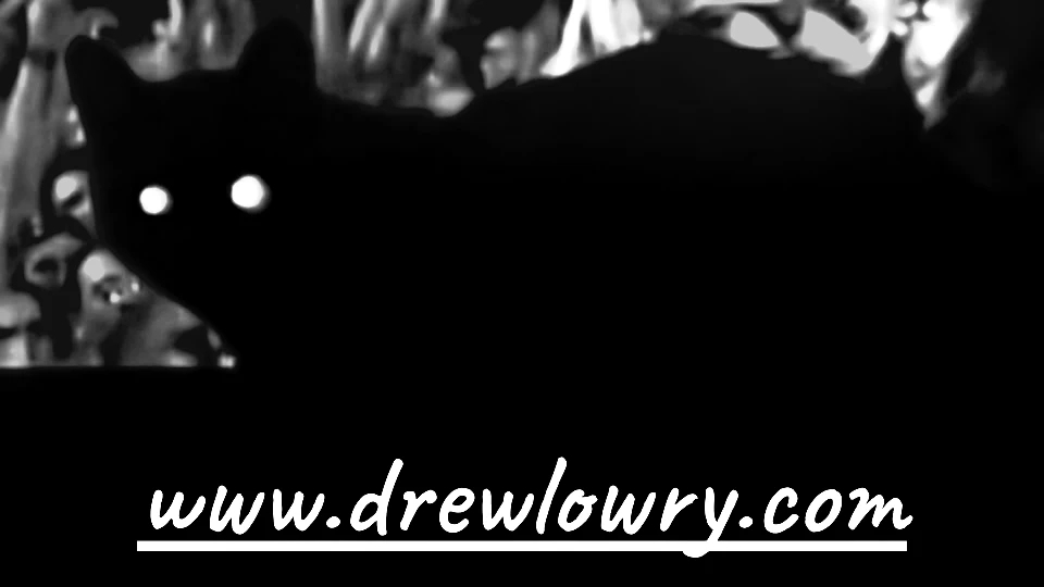 SEEMED LIKE A GOOD IDEA AT THE TIME – the book