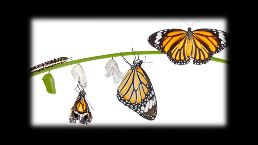 Sweden, Chapter 2 – Butterflies, Rainbows & a Kiss on the&nbsp;Lips