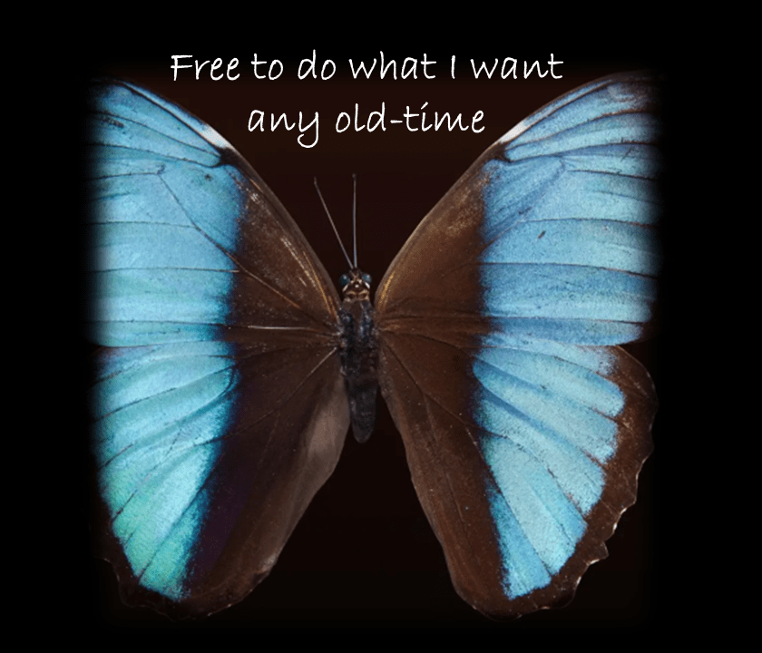 Japan, Chapter 5 – To a Home on God’s Celestial Shore, She Flew&nbsp;Away